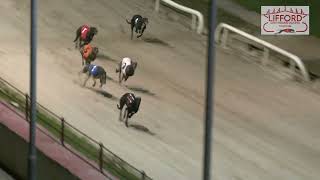 Saturday 28th December 2024 | Race 7 | DRVEEN BUSH