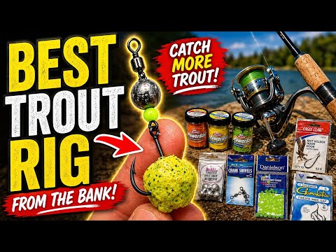 This Bank Fishing Setup Catches Trout EVERY Time (Beginner Proof)