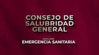 Consejo de salubridad general