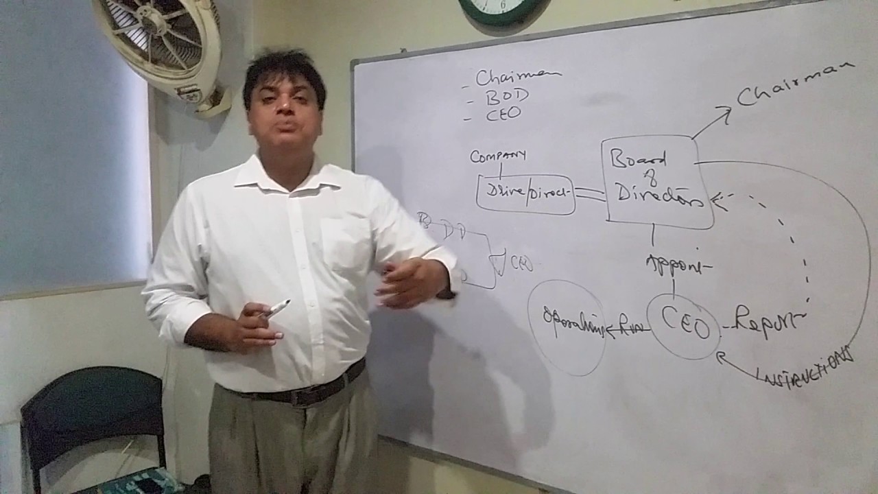 Company Chairman, CEO & BOD