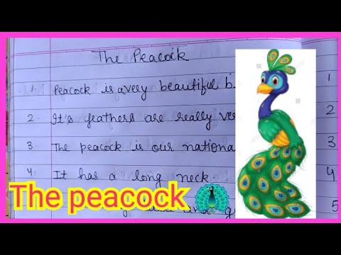 short paragraph on peacock