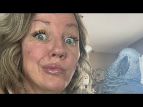 Just Me, Giz & the Couch