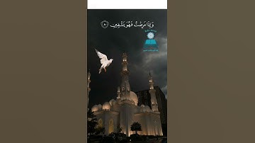 تلاوة تملأ القلب راحة وسكينة 🌙 القارئ محمد احمد حسن 🌙  ﴿ الَّذِي خَلَقَنِي فَهُوَ يَهْدِينِ﴾ #تلاوة