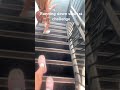 Stair challenge #stairs