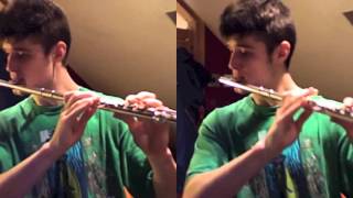 Country Roads Flute Rendition