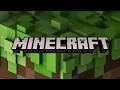 Minecraft !