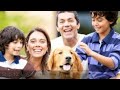 How To Take Care of Your Dog
