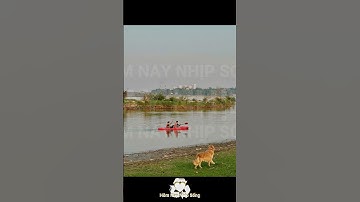 Bãi sông Hồng bị lấn chiếm, Bộ NN&MT đề nghị Hà Nội làm rõ các vi phạm