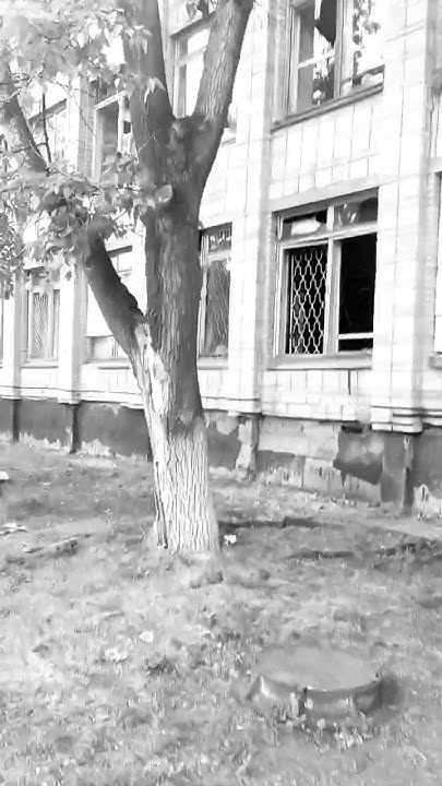 #школа-больница ##Краснокаменск - YouTube