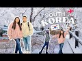 Korea vlog welcome to south korea 