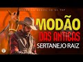 Modo das antigas  as melhores  sertanejo raiz  moda de viola  raiz sertaneja s modo