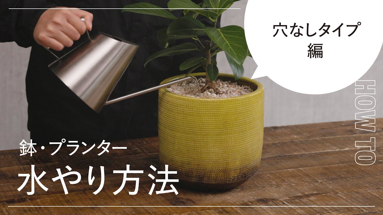 水やり方法・穴なしタイプ編