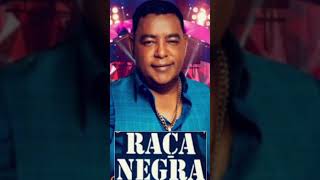 RAÇA NEGRA SUCESSO #sofrencia #short #shorts #shortvideo #shortsvideo #shortsviral #samba #pagode