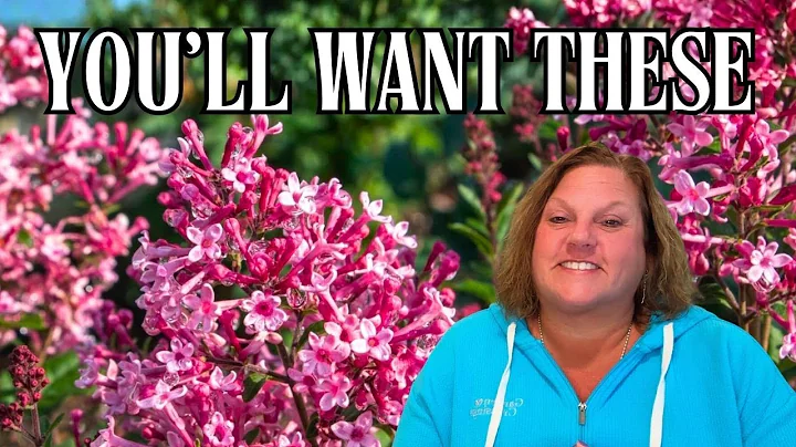 12 GREAT Underrated Plants Revealed | Hidden Gems For Every Garden