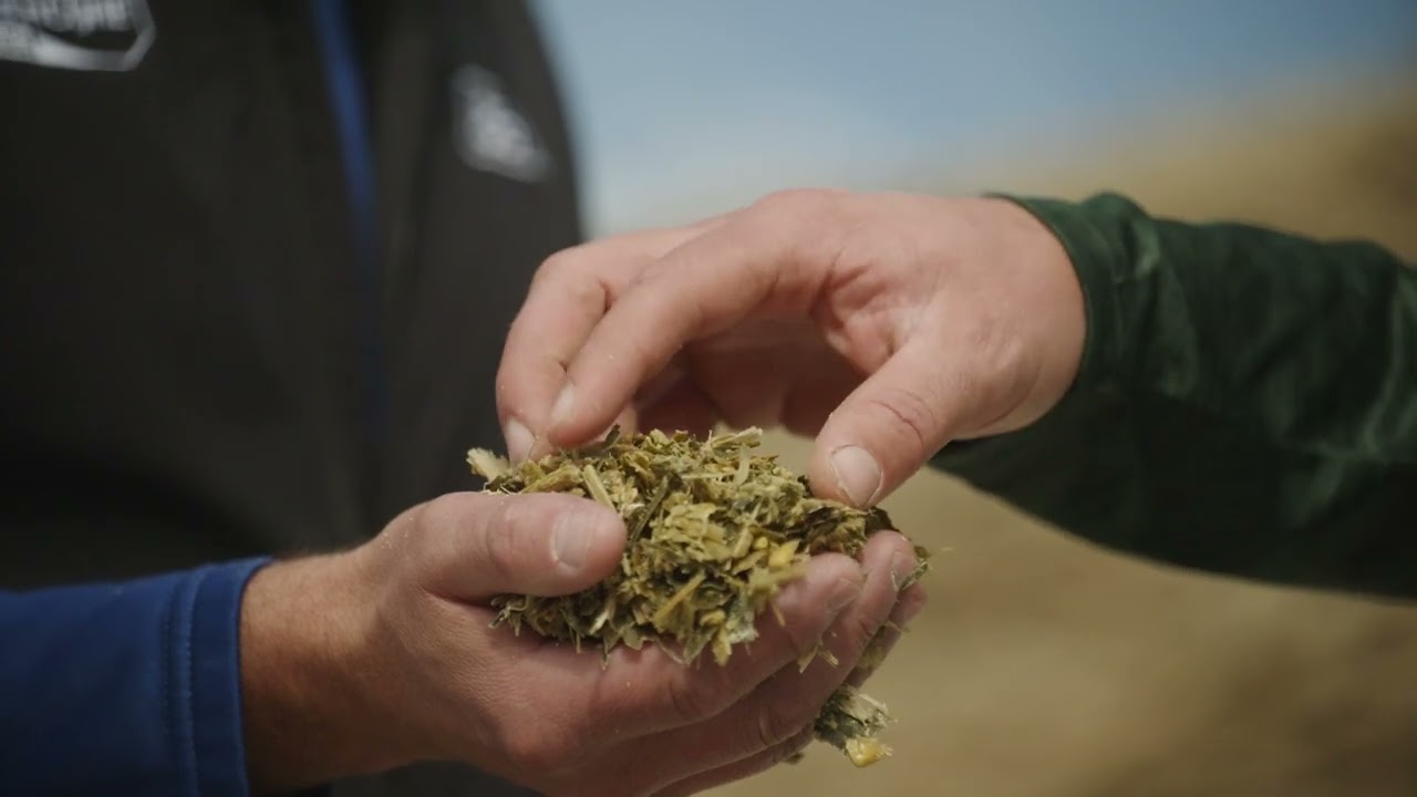 Silage Staging Tool from Pioneer