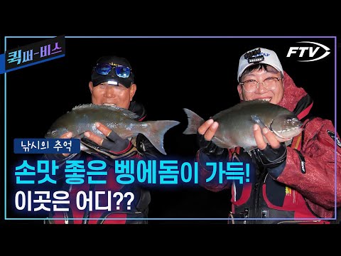 [<strong>Full</strong>/퀵써-비스] 대마도 벵에돔 <strong>시즌</strong> 시작! 첫 캐스팅에 바로 나와주는 큰 씨알의 벵에돔들!! [낚시의 추억/12회]