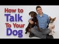 Dog Training: The ART of Communicating with Your Dog