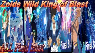 ファイナル ブラスト まとめ ゾイド ワイルド キング オブ ブラスト ALL Final Blast Zoids Wild King of Blast 全暴發技集 機獸新世紀 王者暴風