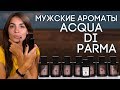 Мужская парфюмерия Acqua Di Parma. Обзор линейки мужских ароматов Аква Ди Парма от Духи.рф