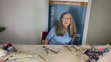 Art Exploration: Branch Weaving