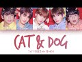 TXT (투모로우바이투게더) - Cat & Dog (Han|Rom|Eng) Color Coded Lyrics/한국어 가사