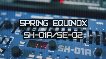 Spring Equinox // A Cinematic Composition // Roland SH-01A / SE-02