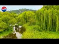 [4K]밀림같은 서울숲과 한강공원 Seoul Forest  Hangang River Park Walk  in South Korea_Healing 4k video 힐링4k영상