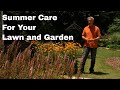 What to do Mid-Summer in Your Lawn and Garden