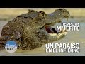 Un Paraiso en el Infierno. Tiempo de Muerte  | Naturaleza - Planet Doc