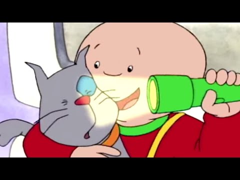 Caillou és az Orvosi Ellenőrzés | Caillou Magyarul - WildBrain