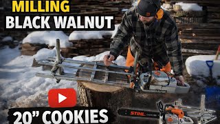 Chainsaw Milling 20” Black Walnut Cookies for Future Woodworking Projects