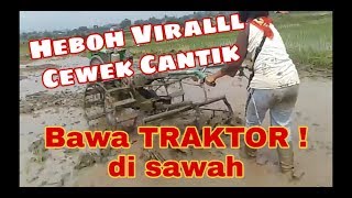 Heboh Viral Cewek Cantik Bawa Traktor di sawah ladang