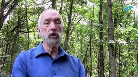 Entrevista a ira Tiffen, vicepresidente de filtros Schneider Optics