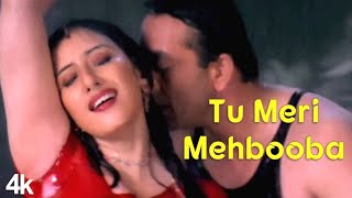 Tu Meri Mehbooba | 4K Video | Sanjay Dutt | Manisha Koirala | Udit Narayan | 🎧 HD Audio