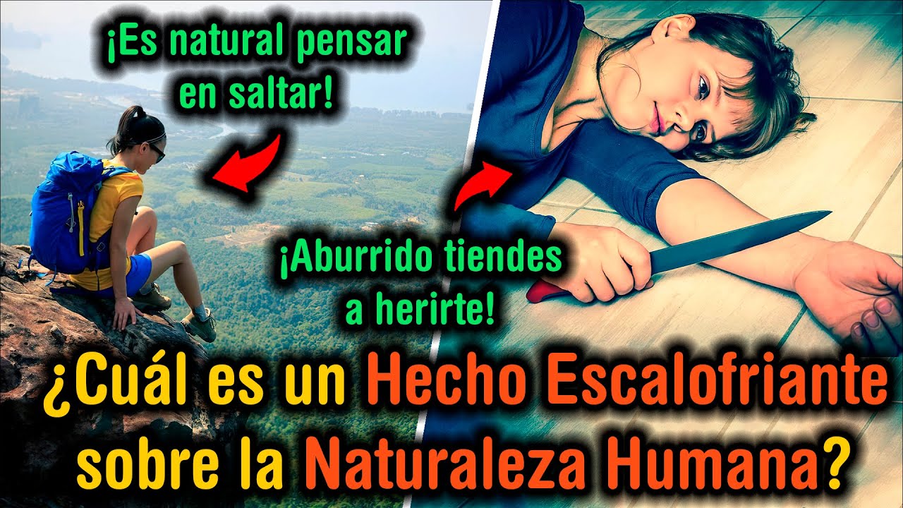 【2023】¿Cuáles son algunos Hechos Espeluznantes sobre la Naturaleza Humana?