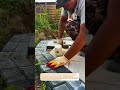 Perfect Paver Edge Finishing Clean Border Installation #DIY #Paving #Construction!!!
