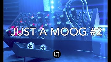 Ambient Moog Subharmonicon & Strymon blueSky | Cavernous II