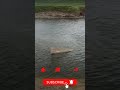 TOP videos fishing #fishing #fish #twolessfishinthesea
