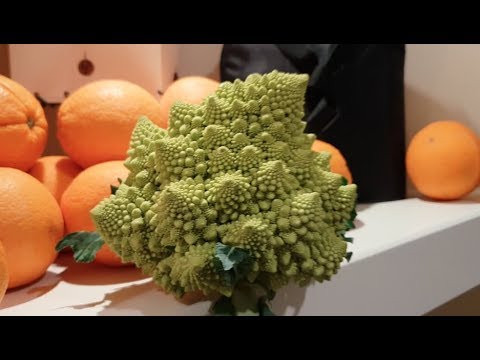 НА ЗИМОВКУ В ТУРЦИЮ / ЖИЛЬЕ / ЦЕНЫ / РЫНОК / Алания / Махмутлар