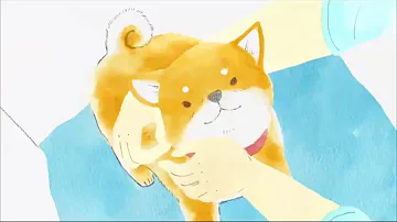 動物愛護協会cm
