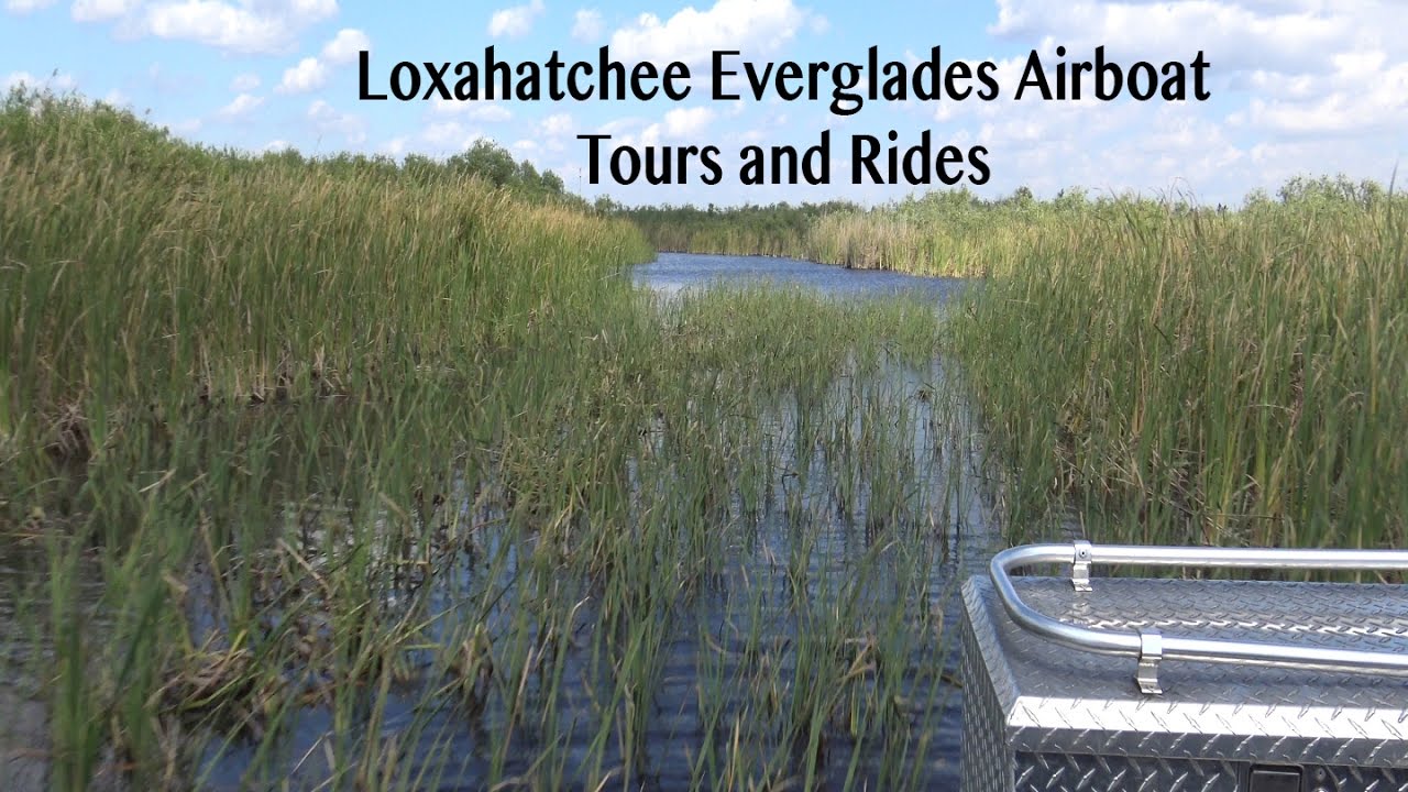 loxahatchee everglades tours