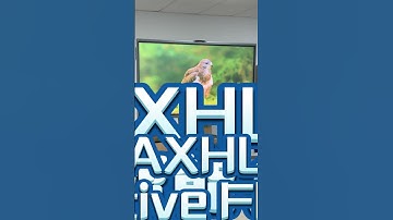 After using the MAXHUB Interactive Flat Panel, the light could still be turned on in the meeting!🤩