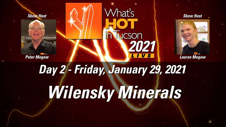 Whats Hot In Tucson: 2021 - Wilensky Fine Minerals