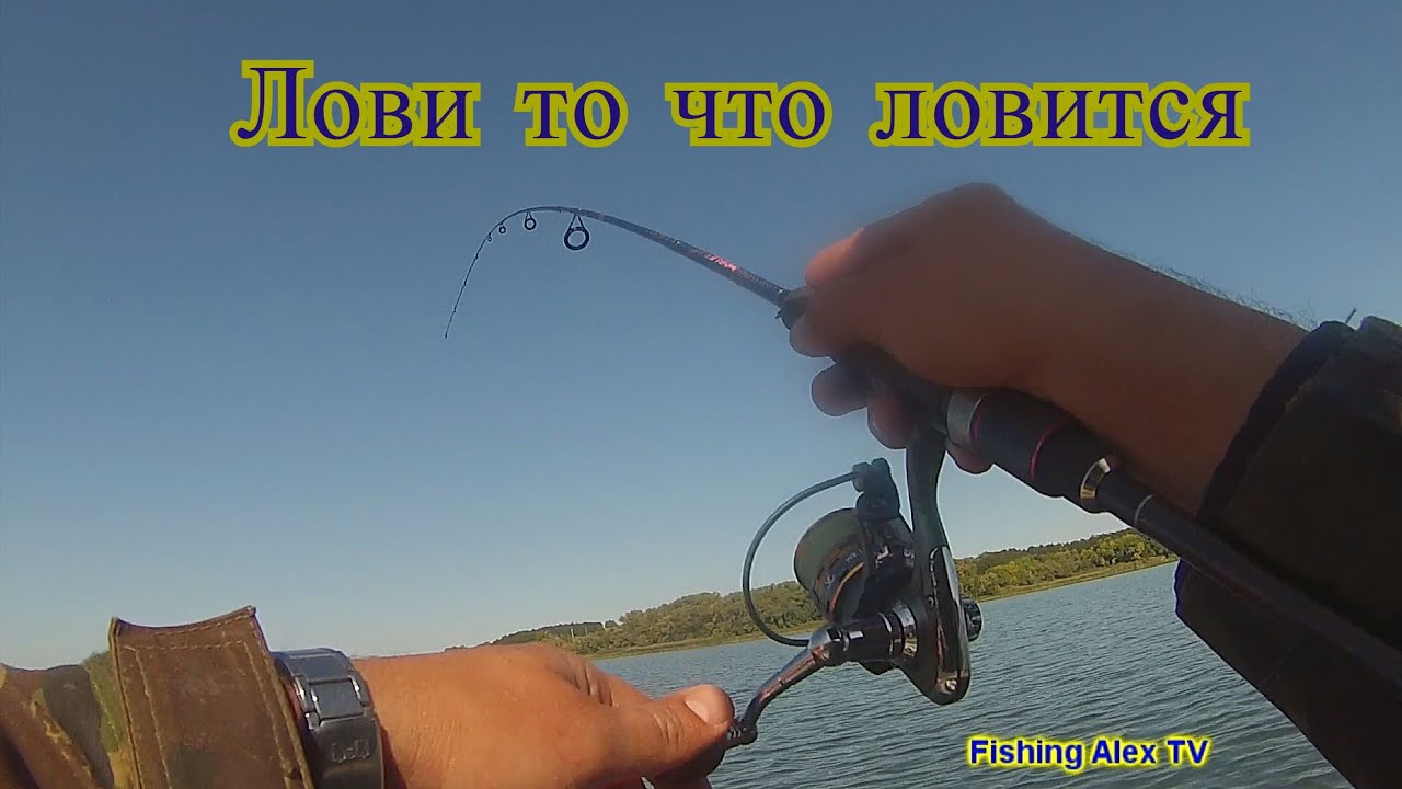 Что ловится на оке