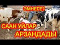 СААН УЙЛАР менен КУНАЖЫНДАР арзандап кетти  |  ЭМНЕ СЕБЕП болду?