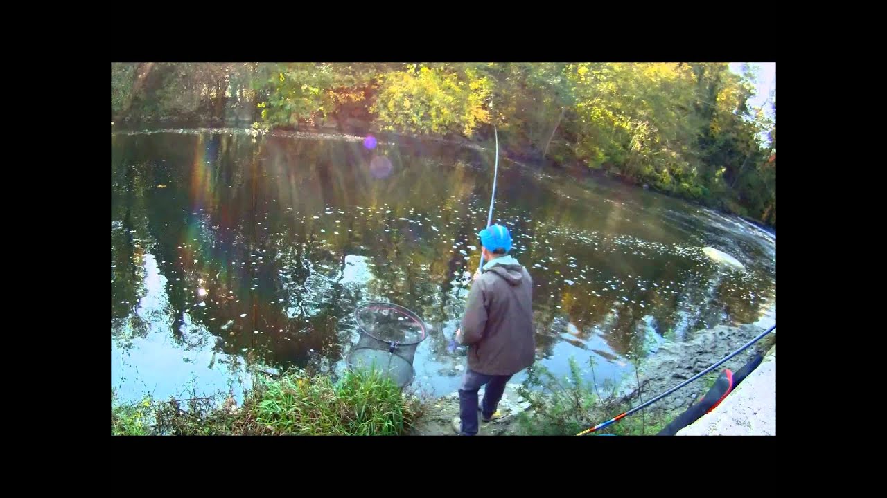 31 10 15 Un fiume di vaironi