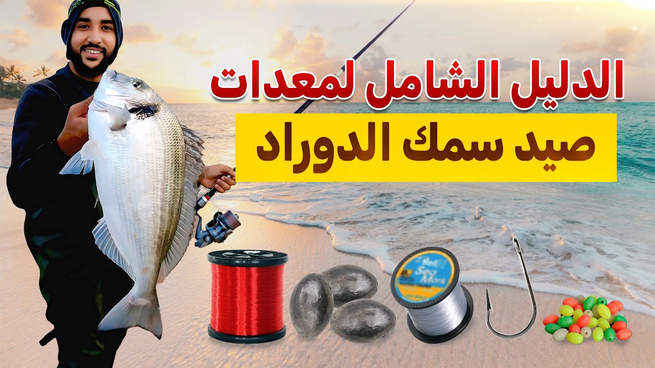 الدليل الشامل لمعدات صيد سمك الدوراد 👑
