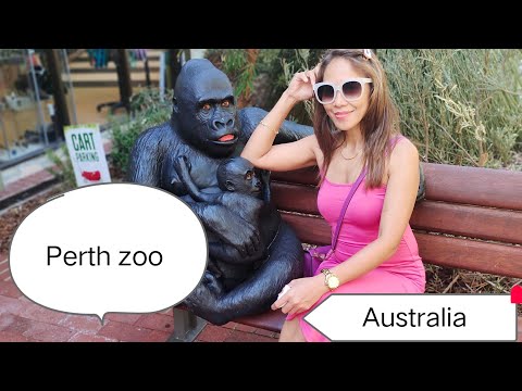 Vídeo: Onde fica o zoológico de Perth?