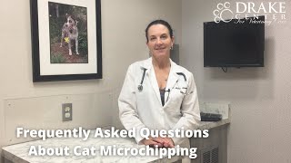 Frequently Asked Questions About Cat Microchipping