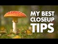 My Best Close-up Photography Tips